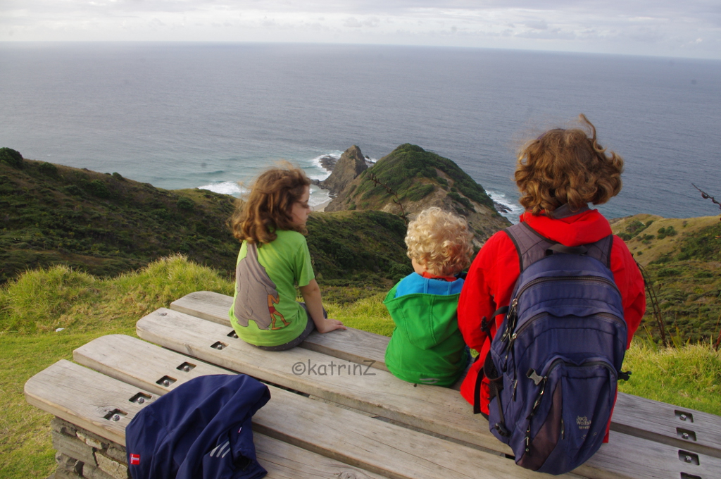 Blog-Interview Nr. 17: Spontan und ohne Plan nach Neuseeland - mit drei Kindern 2 (c) katrinZ
