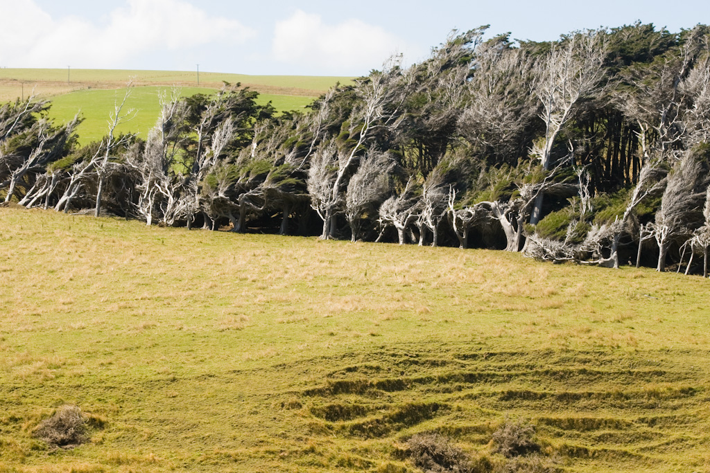 Catlins Slope Point