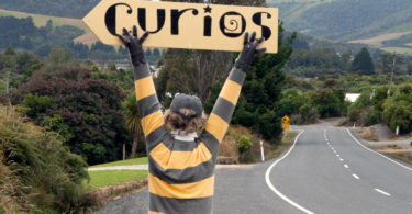 Lost Gypsy Gallery Catlins