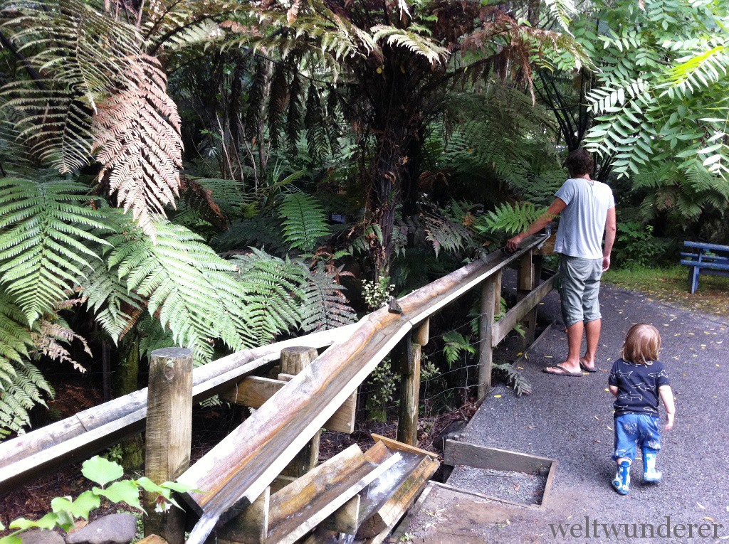 Weltwunderer Waiau Waterworks