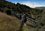 NZ-Reisetagebuch: Wandern auf der Otago Peninsula 1