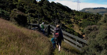 NZ-Reisetagebuch: Wandern auf der Otago Peninsula 1
