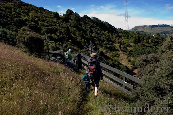 Weltwunderer Otago Peninsula