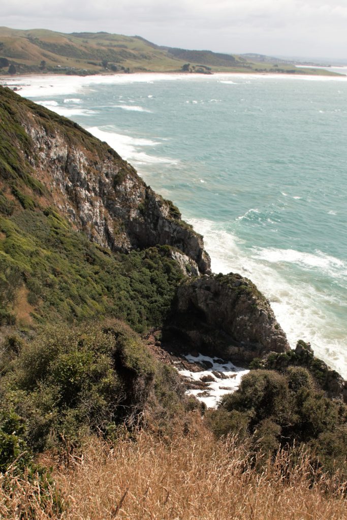 Catlins Nugget Point