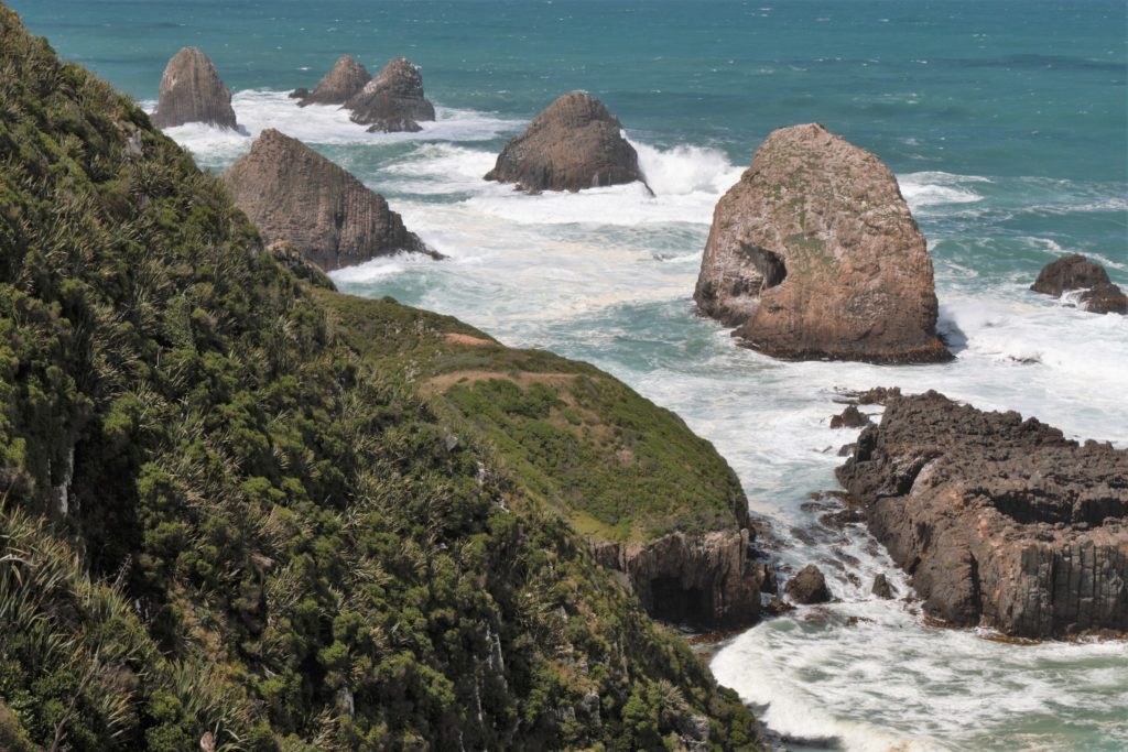 Catlins Nugget Point