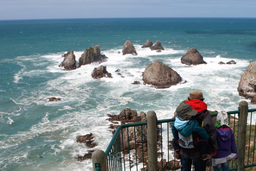 Catlins Nugget Point