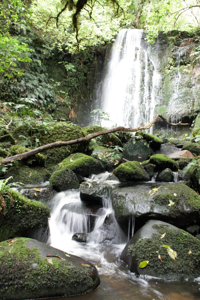 Catlins Matai Falls