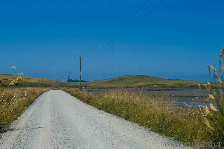 Gravel Road Catlins NZ