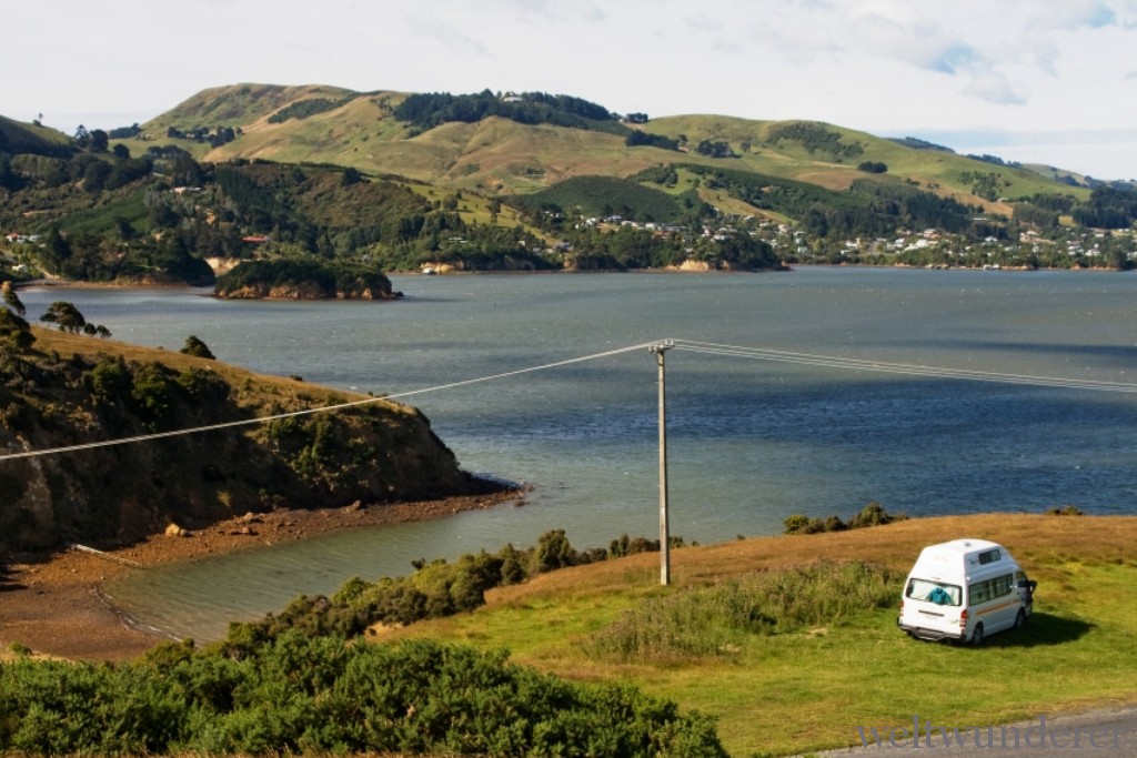Weltwunderer Portobello Otago NZ