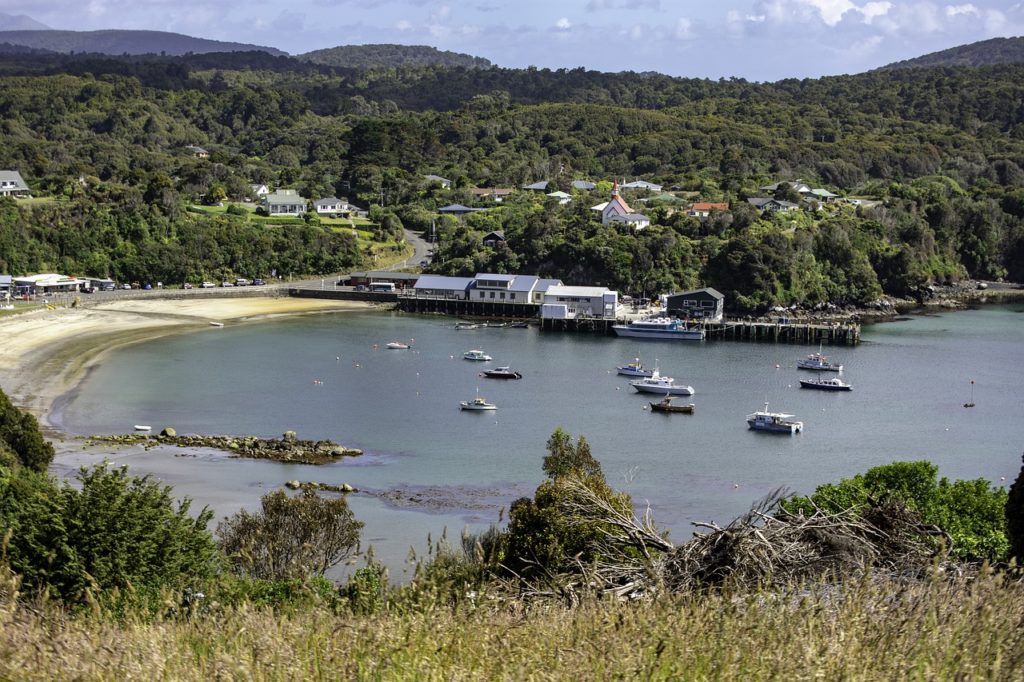 Stewart Island