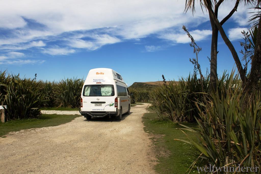 Camping im Paradies: Curio Bay in den Catlins 4