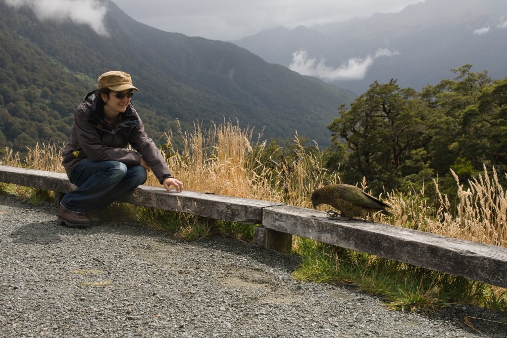 Weltwunderer Kea Milford Sound