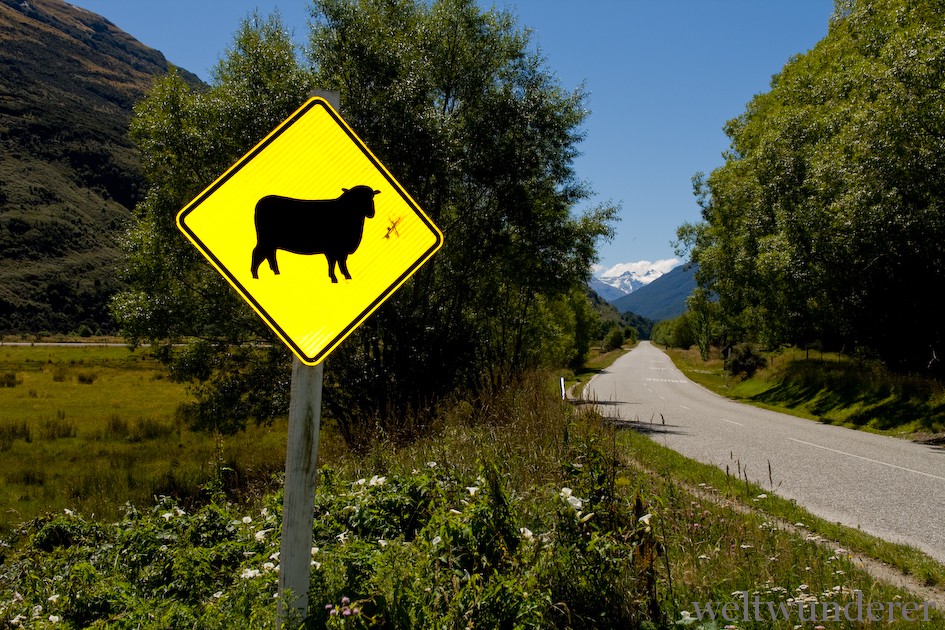 Weltwunderer sheep sign