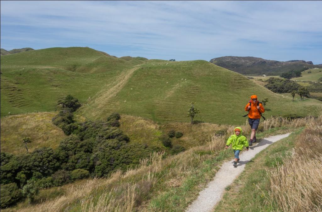 Auf dem Weg zum Wharariki Beach (c) Christof Simon