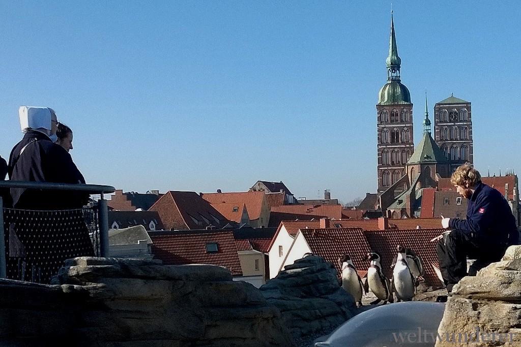 Weltwunderer Ozeaneum Stralsund