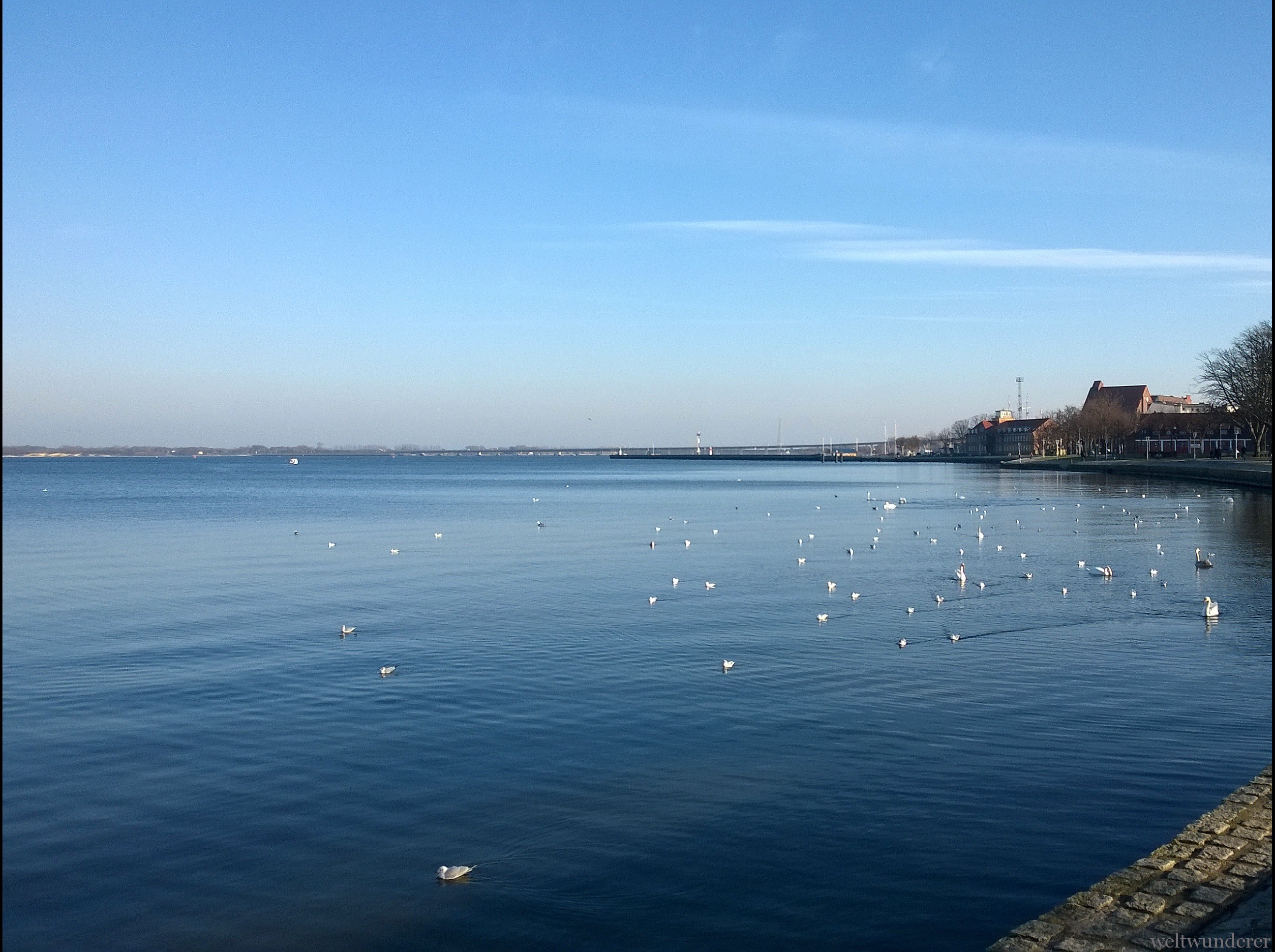 Weltwunderer Stralsund