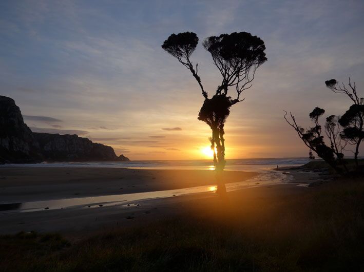 www.jaegerdesverlorenenschmatzes.de Purakaunui Bay