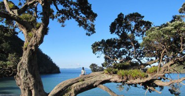 www.jaegerdesverlorenenschmatzes.de Stony Bay Coromandel