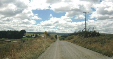 Gravel Road Catlins NZ