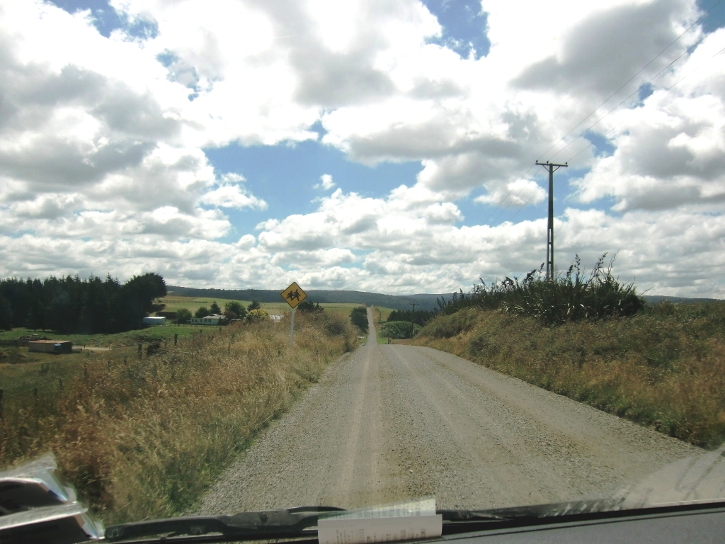 Weltwunderer Neuseeland Campervan Catlins