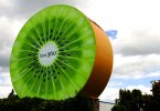 Weltwunderer Kiwi New Zealand