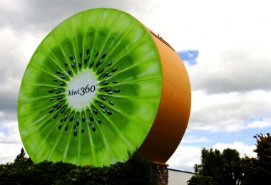 Weltwunderer Kiwi New Zealand