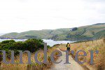 Günstig ins Internet in Neuseeland: SIM-Karte oder free Wifi?