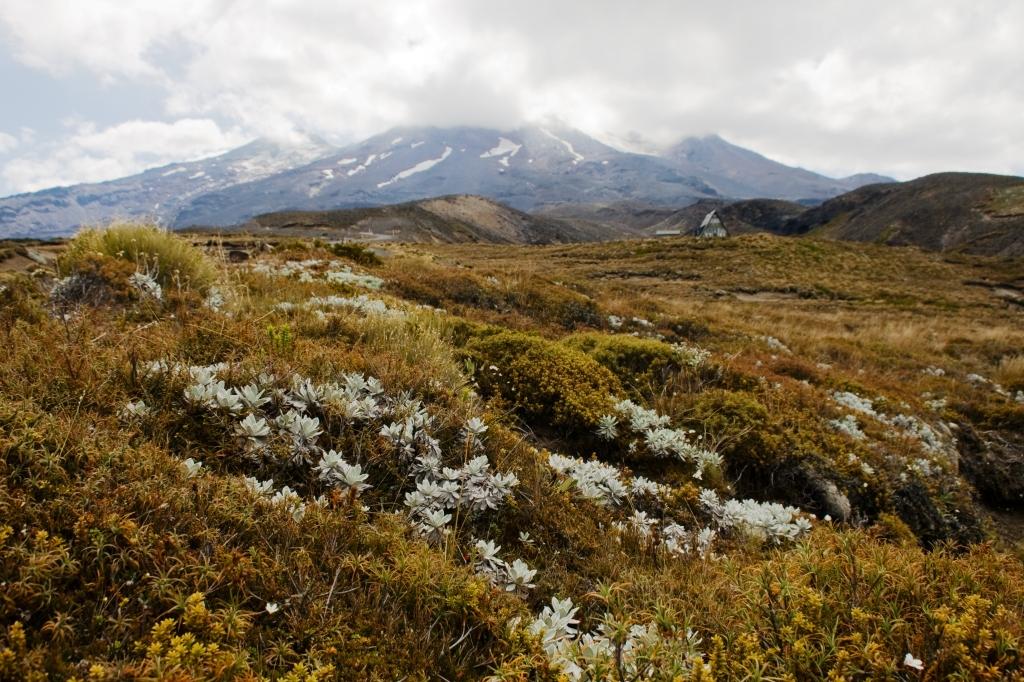 Weltwunderer Tongariro National Park Neuseeland