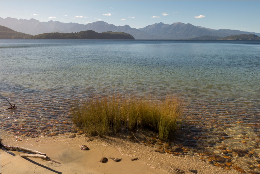 Neuseeland Wandern mit Kindern Fiordland Circle Track © Stefanie Schindler