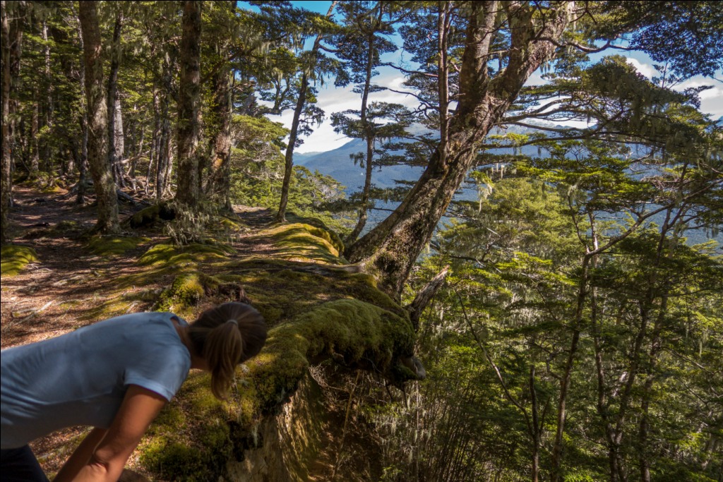 Fiordland Circle Track Wandern © Stefanie Schindler