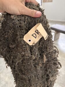 Hairy Feet Waitomo Ringe der Macht