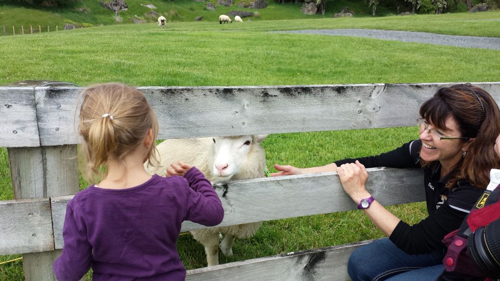 Lina, Polly das Schaf und Suzie