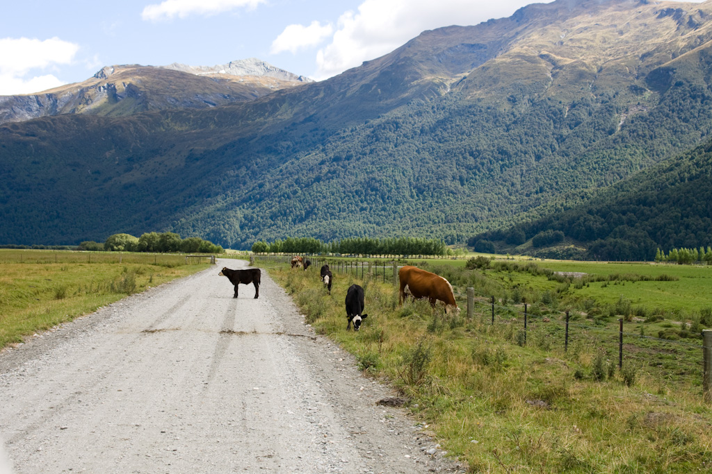 Weltwunderer West Matukituki River Valley Wanaka