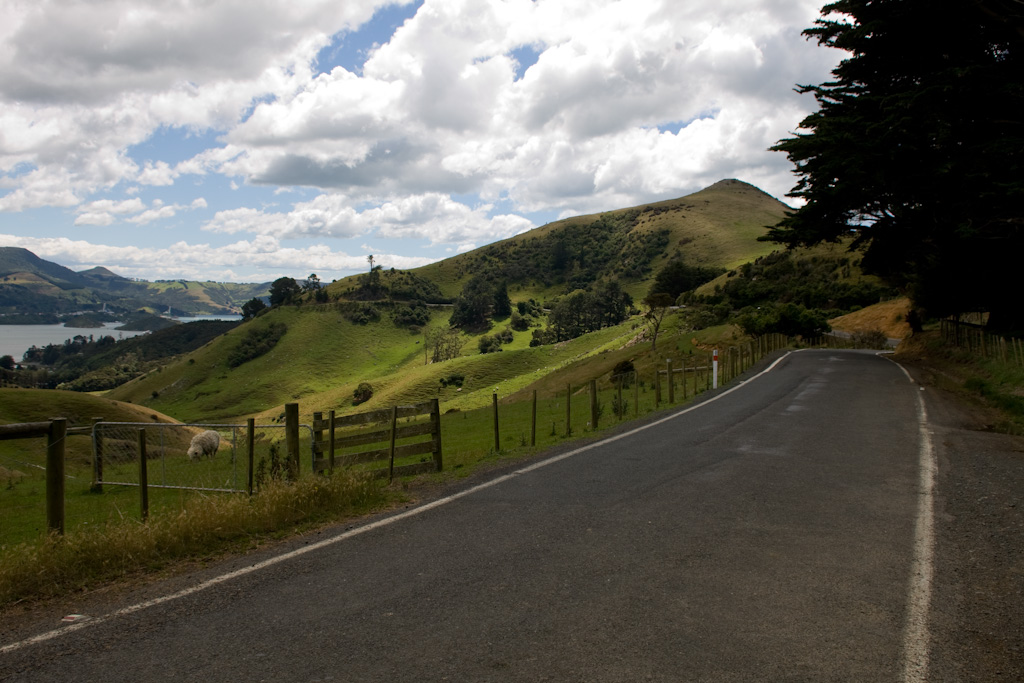 Otago Peninsula