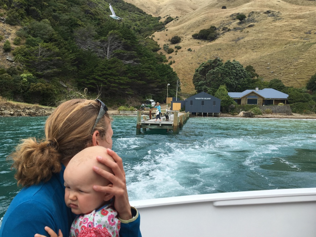 Bootstour mit Baby in Neuseeland