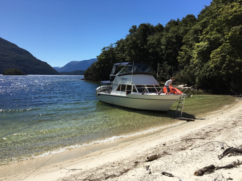Auf dem Schiff mit Baby in Neuseeland? Die besten Bootstour-Tipps 3 Bootstour mit Baby in Neuseeland