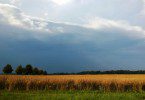 Sommergewitter Lausitz