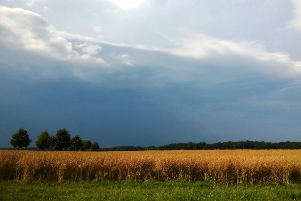 Sommergewitter Lausitz