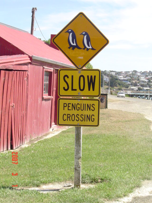 Penguin Sign Oamaru 