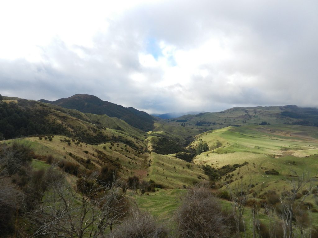 Erdbeben in Neuseeland: Wie viele Sorgen müsst ihr euch machen? 3 Flickr_Remedy Loame Ruahine Fault Line