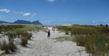 Neuseeland Nordinsel mit Kindern Interview