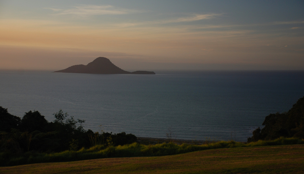 Whale watching in Neuseeland mit Kindern - (wie) das geht 6 Flickr_Kathrin Marks Whale Island Ohope