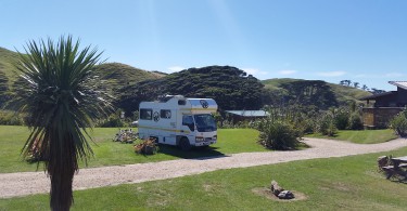 Interview Wohnmobil kaufen in Neuseeland