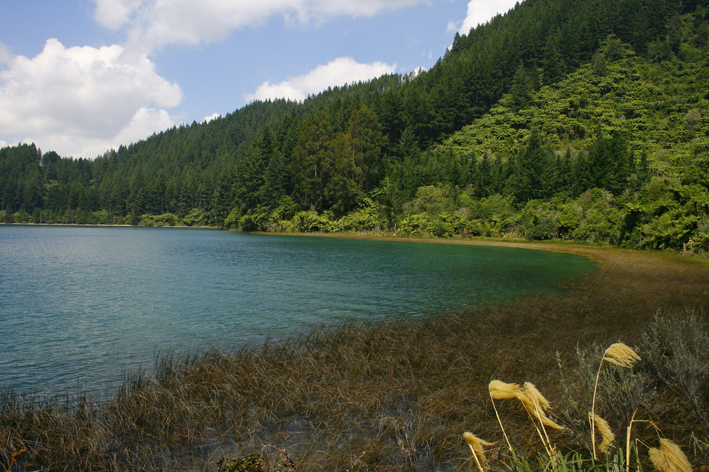 Seen in Neuseeland Flickr_Adam Wise Blue Lake