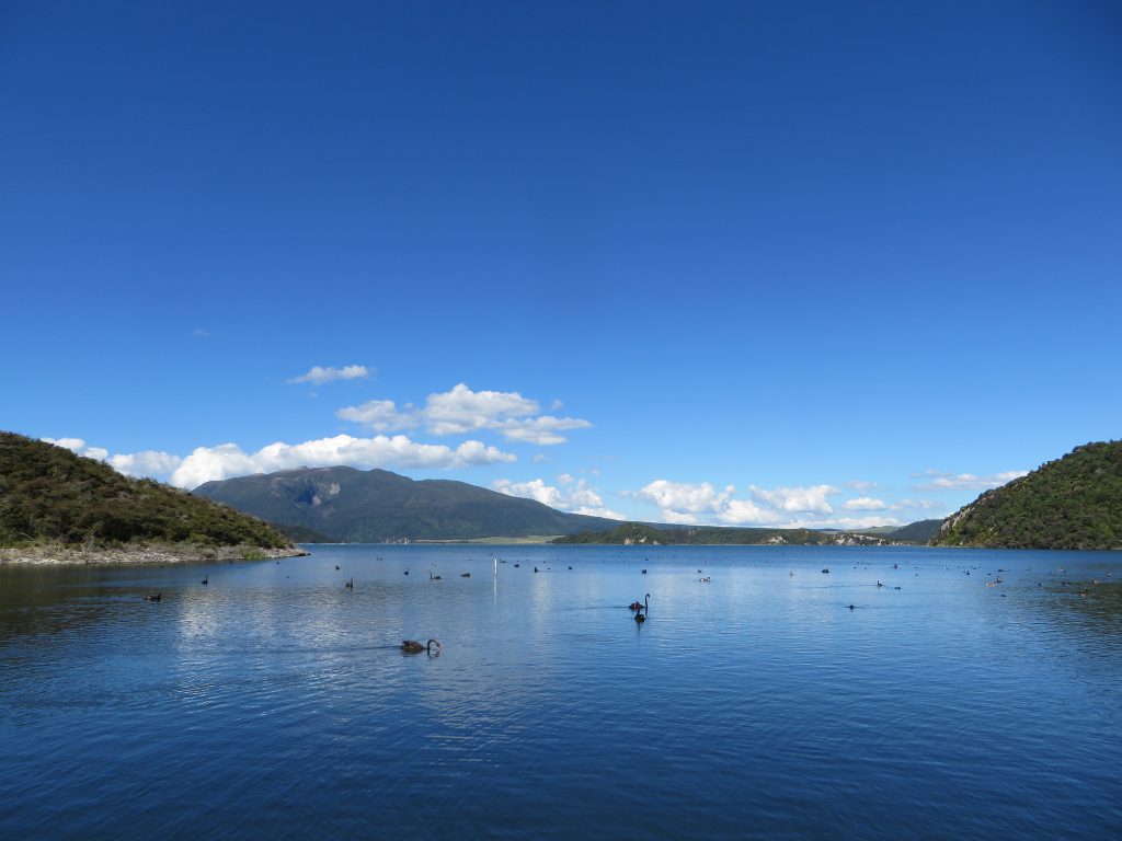 Seen in Neuseeland Flickr_Insane Gravity Lake Rotomahana