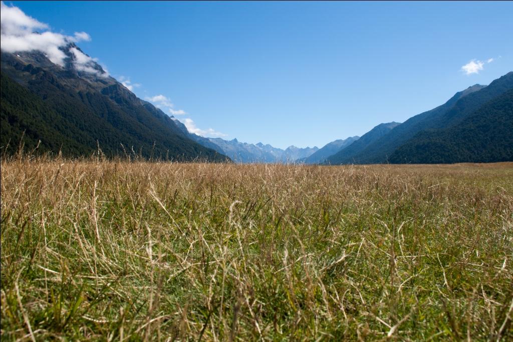 Milford Sound Road Trip Eglington Valley