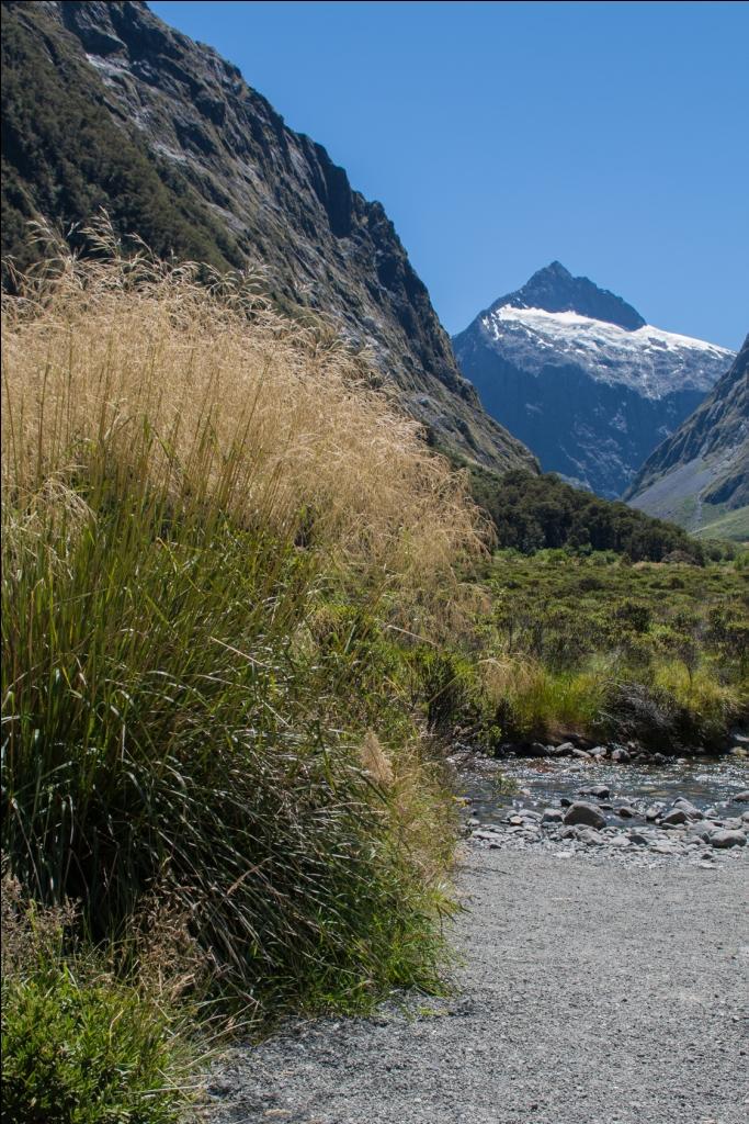 Milford Sound Road Trip