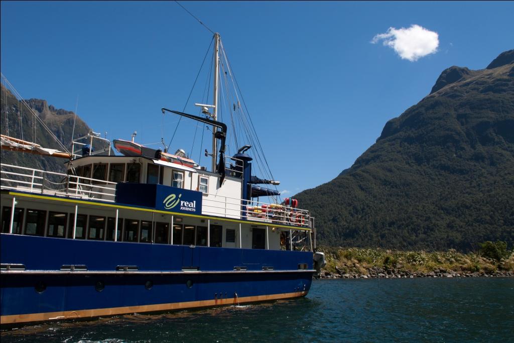 Milford Sound Road Trip