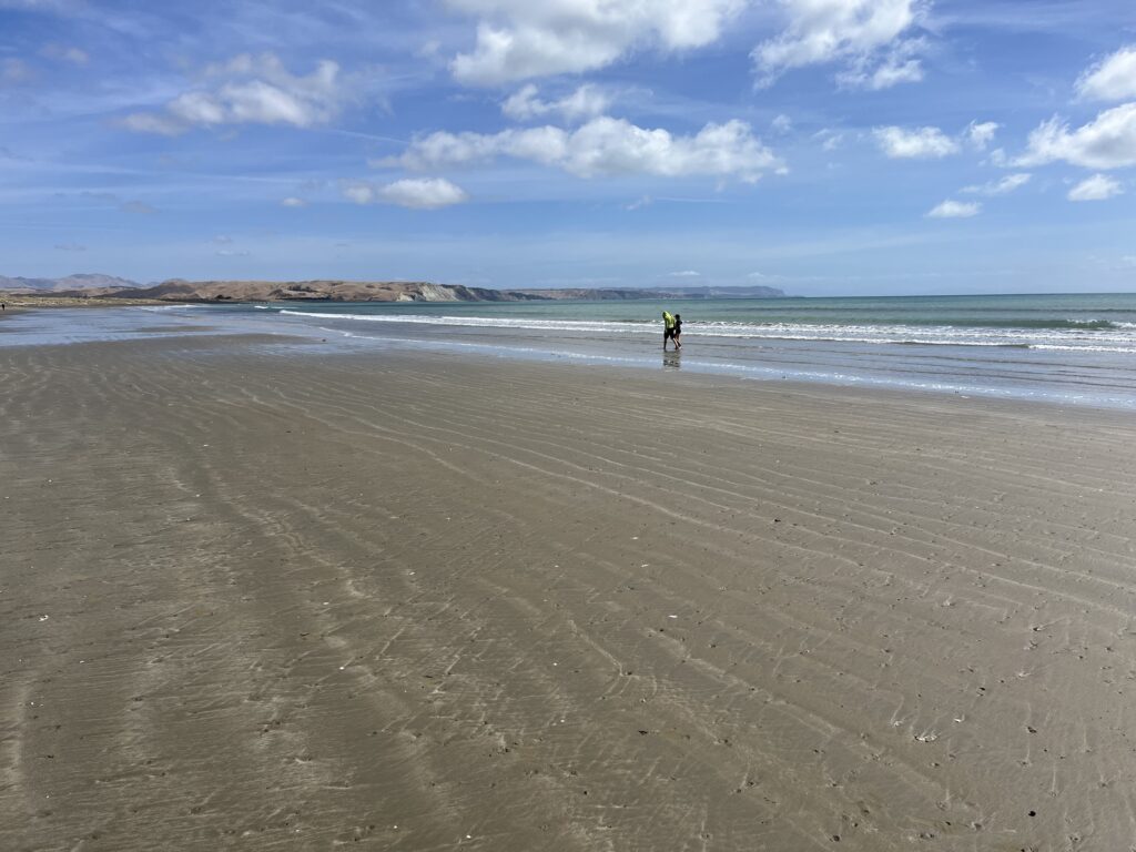 3 Wochen Neuseeland Marfells Beach