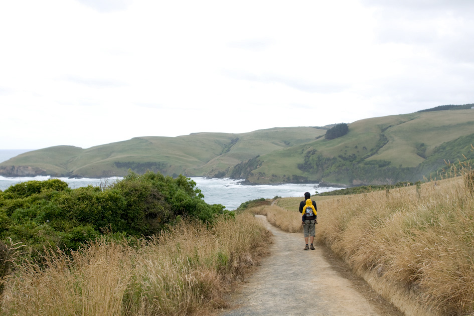 Mit Kindern in Neuseeland wandern Catlins